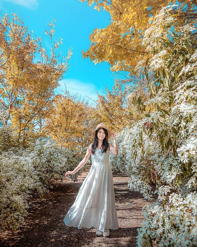 ▲圖片來源：IG@yupei1124