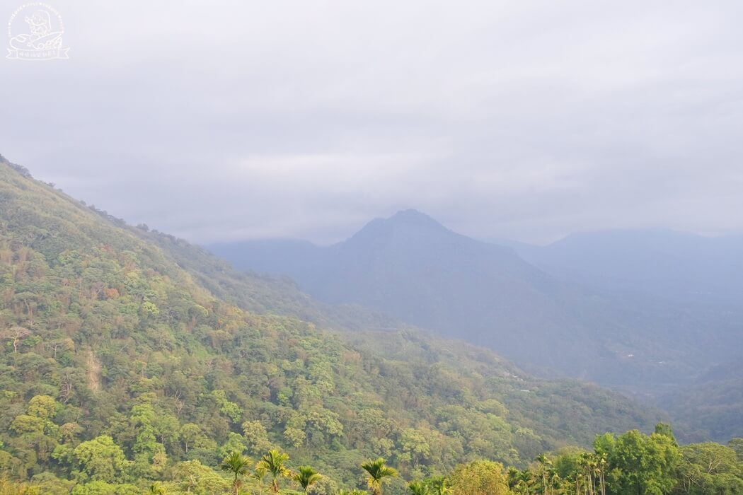 阿里山餐廳推薦