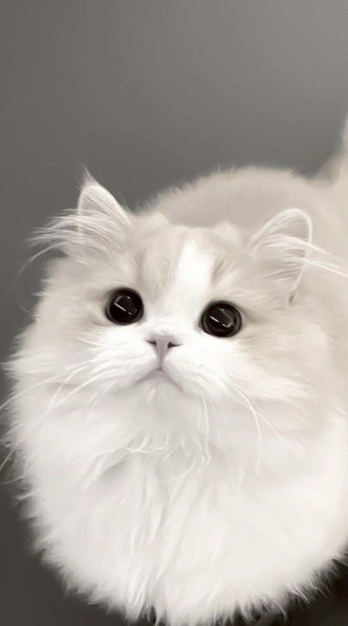 คุยเล่น/หาแฟน/หาเพื่อน