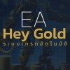 พูดคุย EA Hey gold