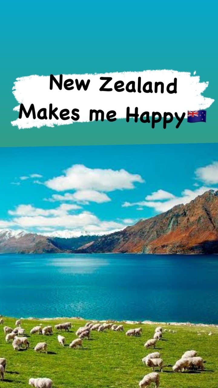 พูดคุย วีซ่า นักเรียน New Zealand🇳🇿