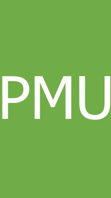 PMU現場量測問題回報