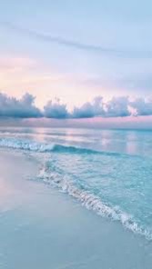 114-1高二三衛生股長