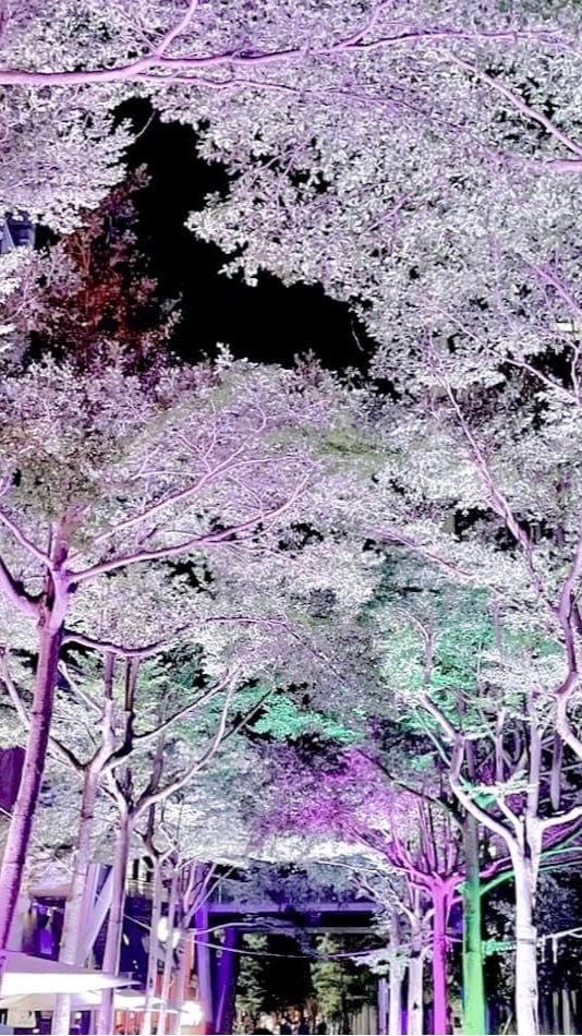 極緻美 公關醫美團隊