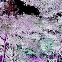極緻美 公關醫美團隊