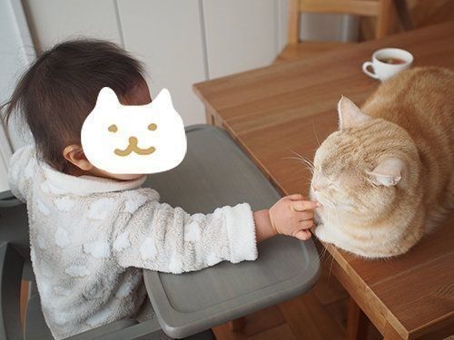 鼻チューは信頼の証 子どもと鼻を近づけるとき