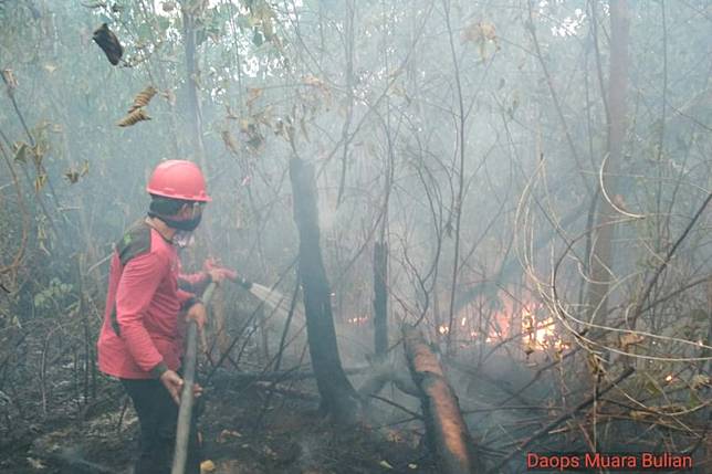 70 Hektare Kawasan Tahura Di Jambi Terbakar