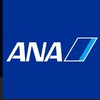 ANA株 質問 応援 情報交換会