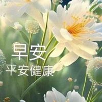 五月花