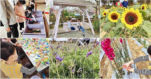 【桃園景點】向陽農場-可以採花、餵動物、烤肉以及多項好玩兒童設施的親子農場