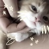 ✿ ˚‧｡ ꕤ ꒰ ตัวแทนติ้กเก้อเหมยลี่ 1 ꒱ ꕤ｡‧˚ ✿