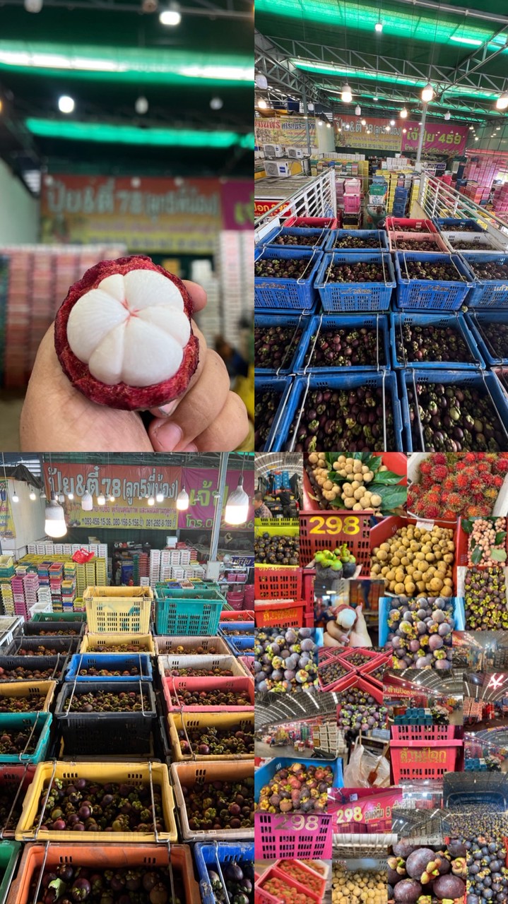ล้านป้อก298 ร้านปุ้ยตี๋78
