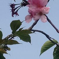 🎙️已婚&婚後裡的小插曲🎼