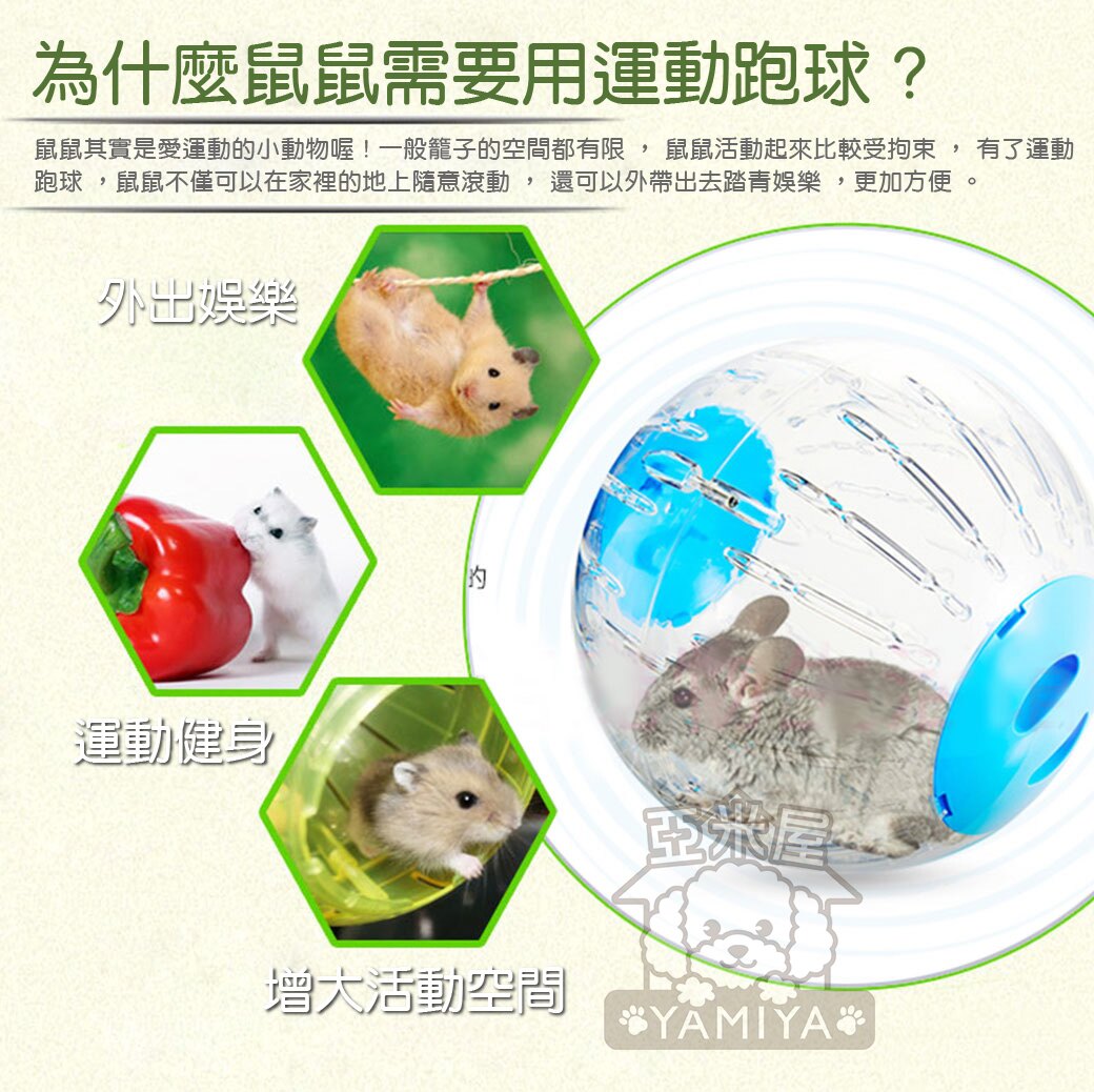 Carno卡諾小倉鼠跑球18.5cm 倉鼠寵物用品玩具滾球 運動水晶跑球 滾球運動 健身運動《亞米屋Yamiya》