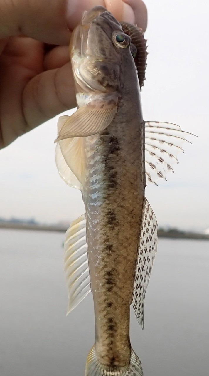 葛西海浜公園の釣り人の部屋