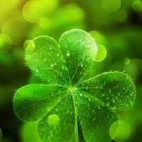 Good Luck