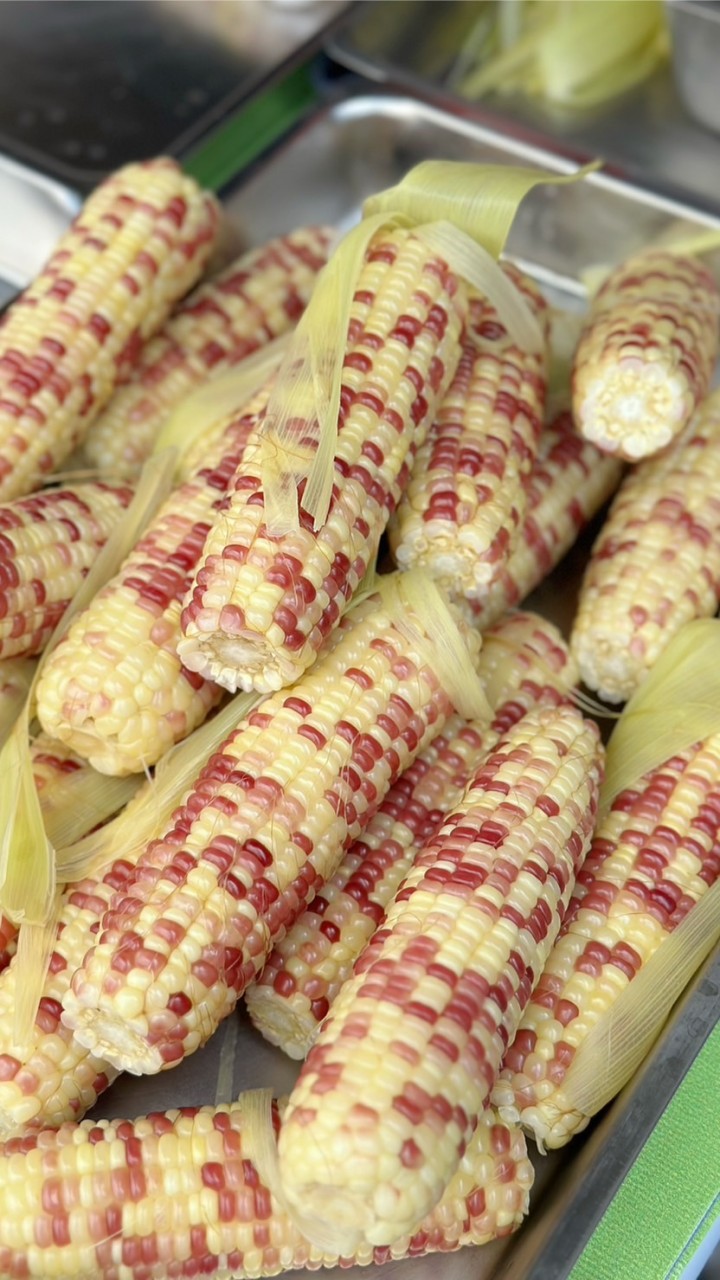 大雅胖蜀黍櫻桃糯米