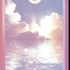 Dreamcodeプロジェクト
