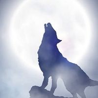 ★人狼ーーー！！！★