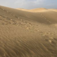 陳怡君的旅遊省錢專區