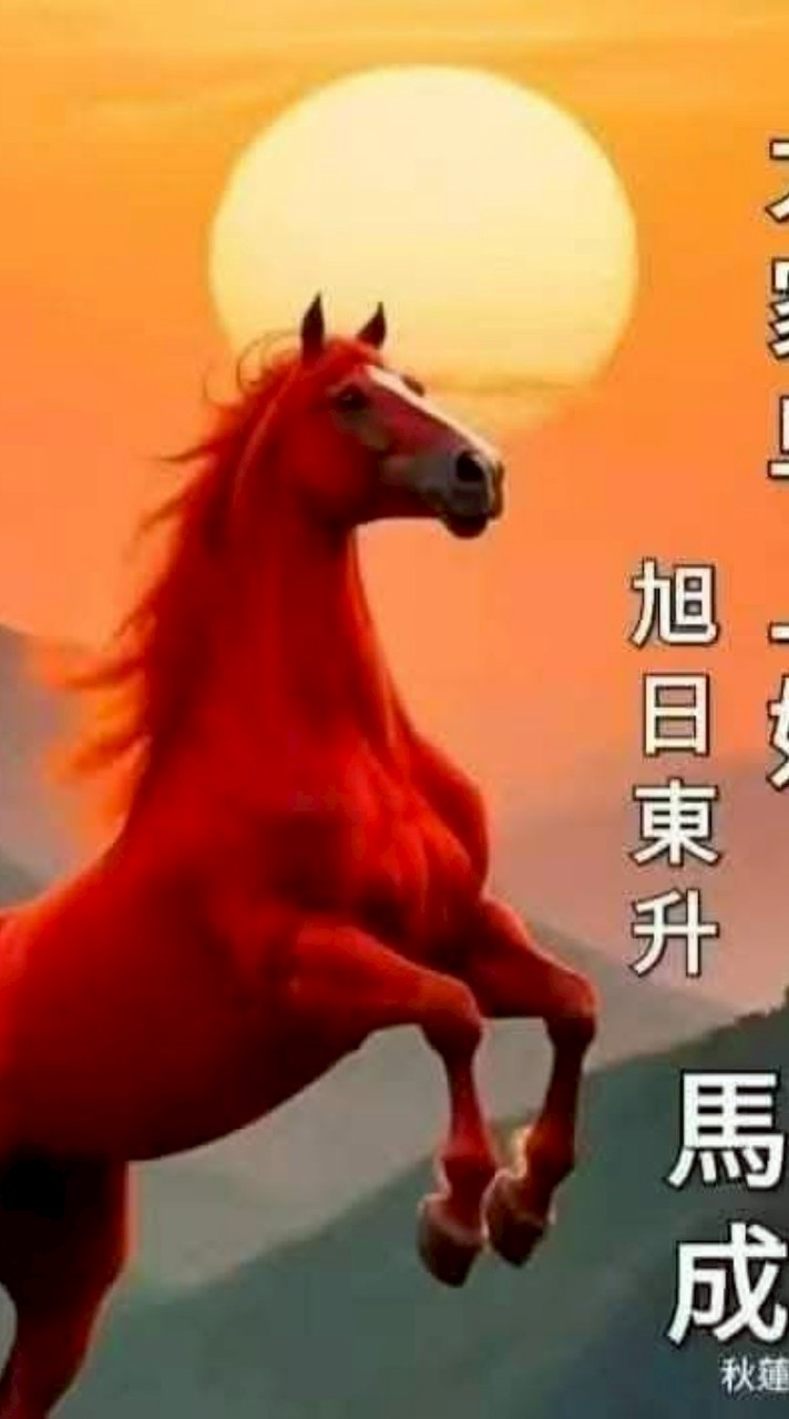 『佛南多』之金融、台股研習營