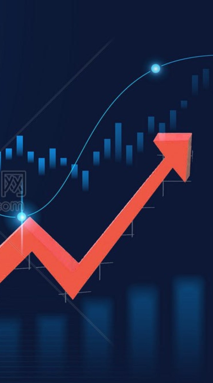 Robert Super Private Equity Investment Stock 988