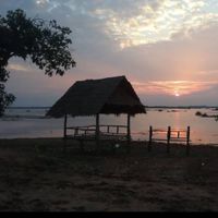 ครอบครัวอนุบาลหมีน้อย