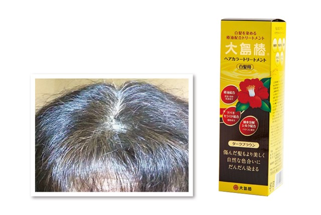 頭皮に優しい白髪染め ヘアマニキュア を試して採点 白髪染め 徹底比較 3