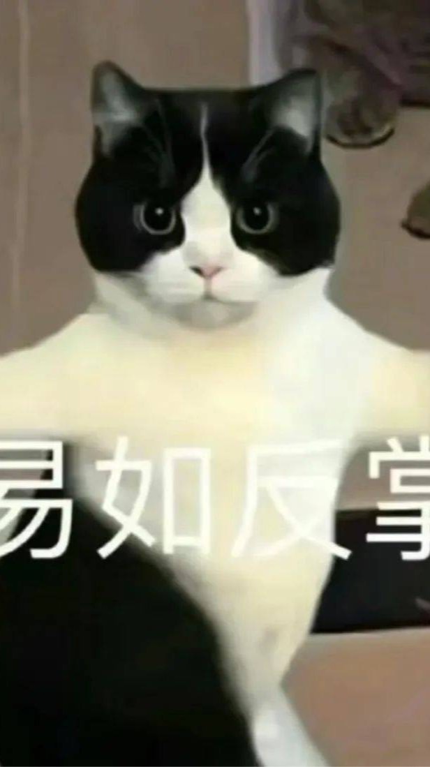 嗷嗷嗷嗷要畢業了