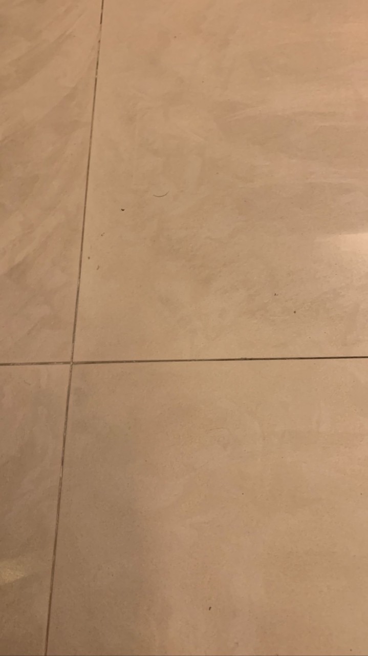 美秀秀
