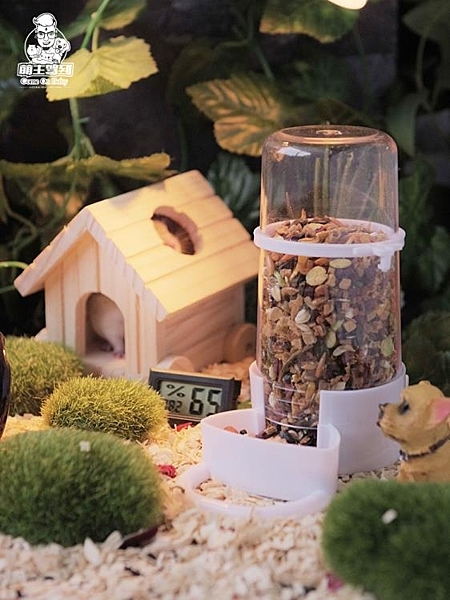 全館支持外島派送，可開發票，有什麼需要可以在商品問與答留言，Line（賴）：aa10086