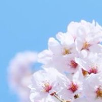 🌸2023すみれ卒園準備🌸