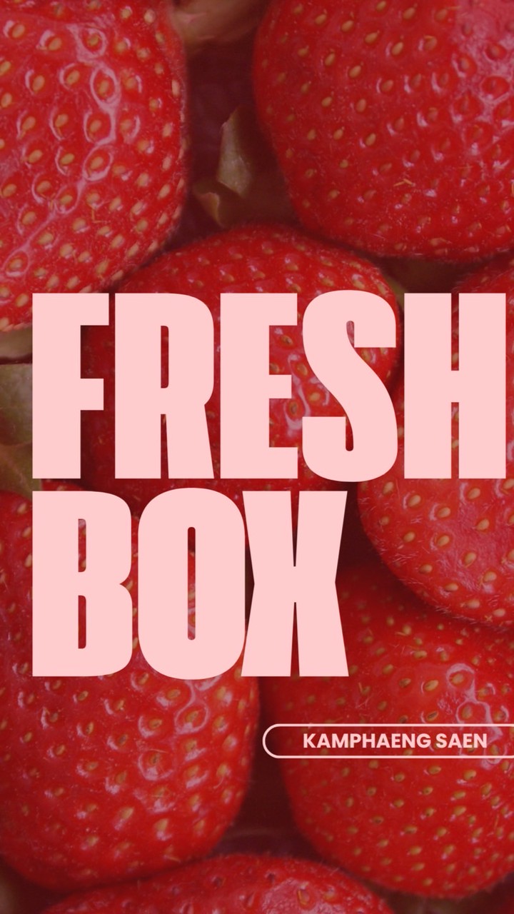 FRESH BOXx