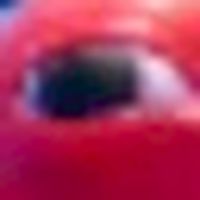 とりまげ教