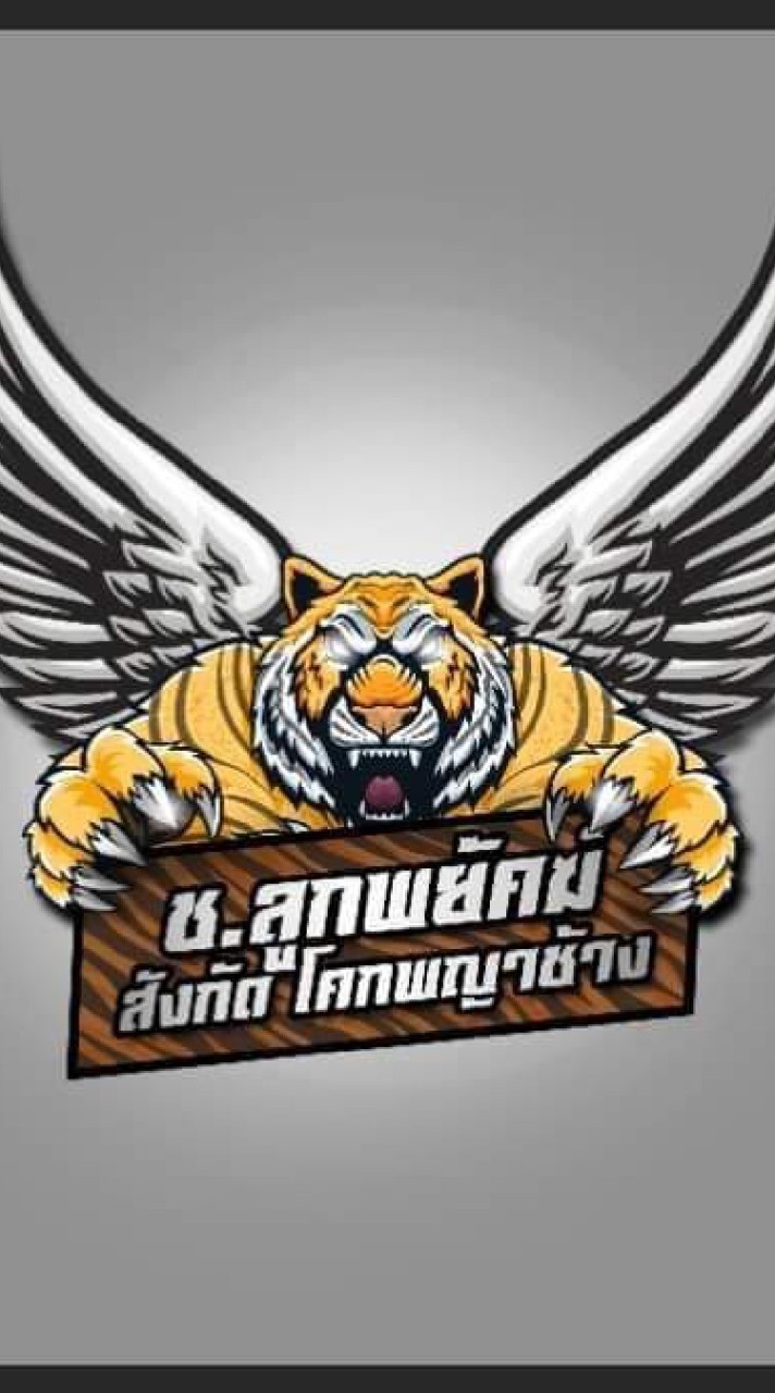 ช.ลูกพยัคฆ์ By.โคกพญาช้างทีม