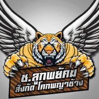 ช.ลูกพยัคฆ์ By.โคกพญาช้างทีม