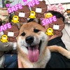 幣本社區（私訊管理領31USDT）