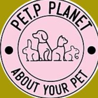 Pet P Open CHAT