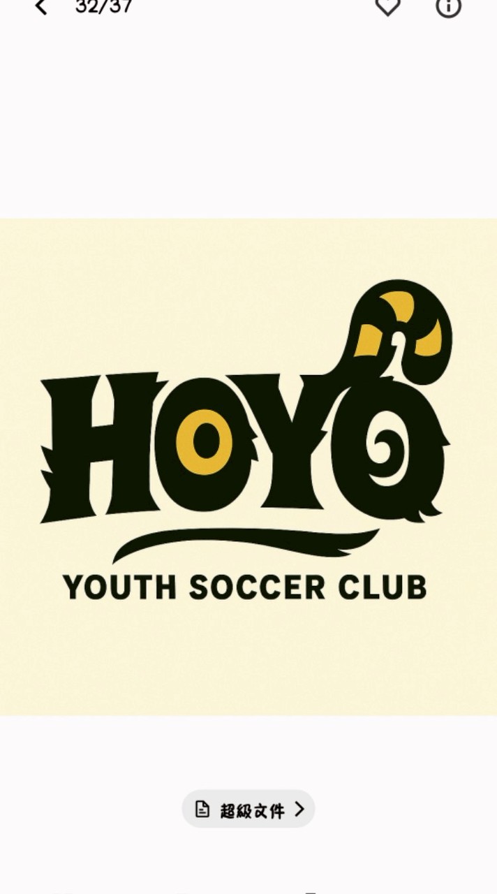 足球群[HOYO]