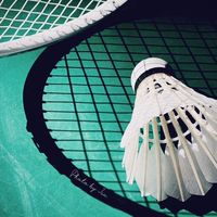 影傳30屆系羽🏸