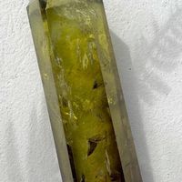 胖胖的水晶寶寶x光次元工作室