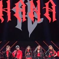 🌹HANA写真館🌹