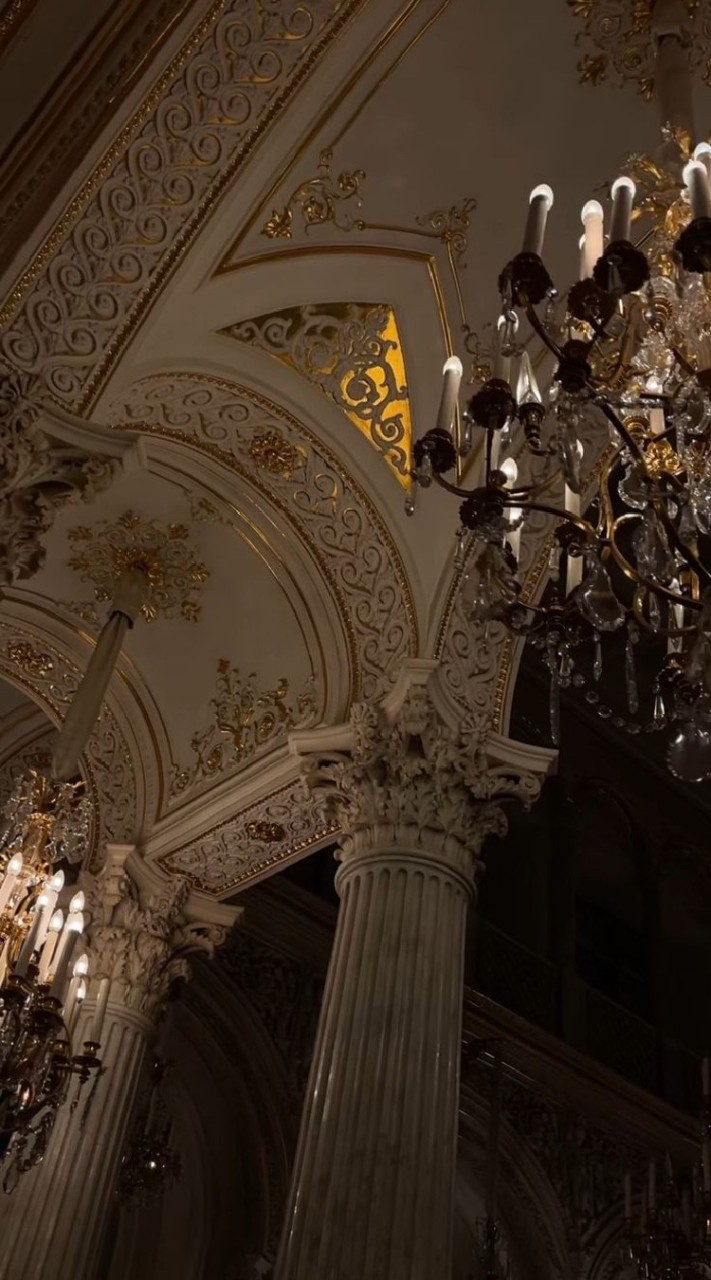 ﴾✵𝕭𝖎𝖗𝖉​ 𝖔𝖋​ 𝖕𝖆𝖗𝖆𝖉𝖎𝖘𝖊​ 𝕬𝖈𝖆𝖉𝖊𝖒𝖞♛﴿
