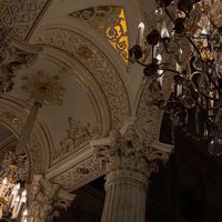 ﴾✵𝕭𝖎𝖗𝖉​ 𝖔𝖋​ 𝖕𝖆𝖗𝖆𝖉𝖎𝖘𝖊​ 𝕬𝖈𝖆𝖉𝖊𝖒𝖞♛﴿