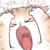 (ลับ)AsgardTH ODIN