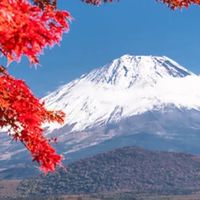 フジ国際秋休み授業グループ