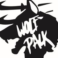 Wolfpack badminton