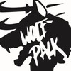 Wolfpack badminton