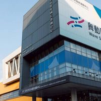 周四淡運籃球