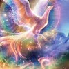 相撲したい子体格 体型ぽっちゃり太った子限定【４年〜６年】